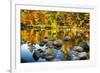 Autumn Foliage River Reflections-George Oze-Framed Photographic Print