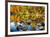 Autumn Foliage River Reflections-George Oze-Framed Photographic Print