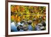 Autumn Foliage River Reflections-George Oze-Framed Photographic Print