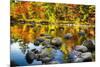 Autumn Foliage River Reflections-George Oze-Mounted Photographic Print