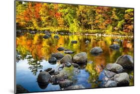 Autumn Foliage River Reflections-George Oze-Mounted Photographic Print