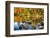 Autumn Foliage River Reflections-George Oze-Framed Photographic Print