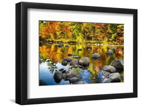 Autumn Foliage River Reflections-George Oze-Framed Photographic Print