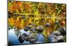 Autumn Foliage River Reflections-George Oze-Mounted Photographic Print