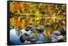 Autumn Foliage River Reflections-George Oze-Framed Stretched Canvas