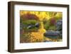 Autumn foliage, Tumwater Canyon, Wenatchee National Forest, WA.-Michel Hersen-Framed Photographic Print