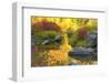 Autumn foliage, Tumwater Canyon, Wenatchee National Forest, WA.-Michel Hersen-Framed Photographic Print