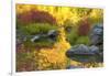 Autumn foliage, Tumwater Canyon, Wenatchee National Forest, WA.-Michel Hersen-Framed Photographic Print