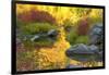 Autumn foliage, Tumwater Canyon, Wenatchee National Forest, WA.-Michel Hersen-Framed Photographic Print