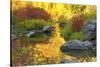 Autumn foliage, Tumwater Canyon, Wenatchee National Forest, WA.-Michel Hersen-Stretched Canvas