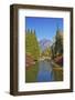 Autumn foliage, White River, Wenatchee National Forest, Washington State, USA-Michel Hersen-Framed Photographic Print