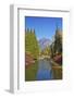 Autumn foliage, White River, Wenatchee National Forest, Washington State, USA-Michel Hersen-Framed Photographic Print