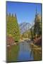 Autumn foliage, White River, Wenatchee National Forest, Washington State, USA-Michel Hersen-Mounted Photographic Print