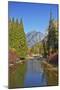 Autumn foliage, White River, Wenatchee National Forest, Washington State, USA-Michel Hersen-Mounted Photographic Print