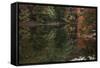 Autumn Foliage With Water Like Glass-Anthony Paladino-Framed Stretched Canvas