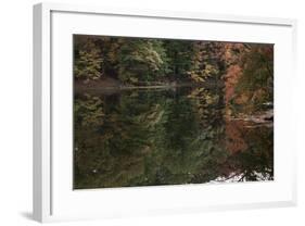 Autumn Foliage With Water Like Glass-Anthony Paladino-Framed Giclee Print