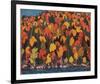 Autumn Foliage-Tom Thomson-Framed Giclee Print