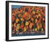 Autumn Foliage-Tom Thomson-Framed Giclee Print