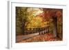 Autumn Footbridge-Jessica Jenney-Framed Giclee Print