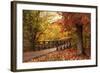 Autumn Footbridge-Jessica Jenney-Framed Giclee Print