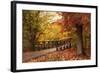 Autumn Footbridge-Jessica Jenney-Framed Giclee Print