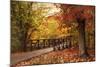 Autumn Footbridge-Jessica Jenney-Mounted Giclee Print