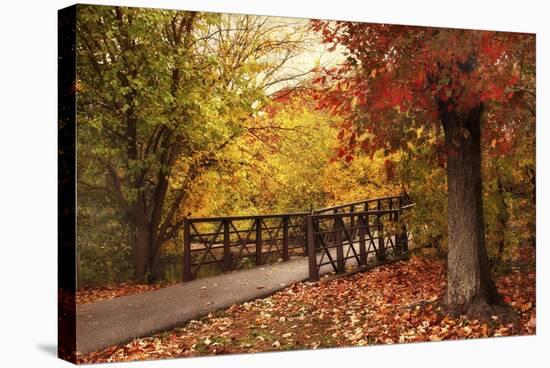 Autumn Footbridge-Jessica Jenney-Stretched Canvas