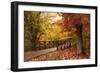 Autumn Footbridge-Jessica Jenney-Framed Giclee Print