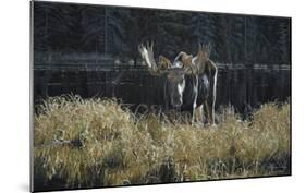 Autumn Foraging-Ron Parker-Mounted Art Print