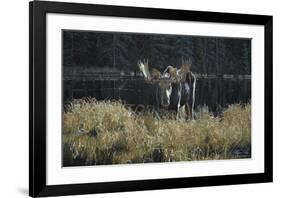 Autumn Foraging-Ron Parker-Framed Art Print