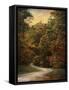 Autumn Forest 1-Jai Johnson-Framed Stretched Canvas