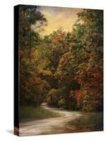 Autumn Forest 1-Jai Johnson-Stretched Canvas