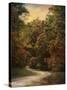 Autumn Forest 1-Jai Johnson-Stretched Canvas