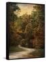 Autumn Forest 1-Jai Johnson-Framed Stretched Canvas