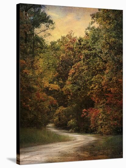 Autumn Forest 1-Jai Johnson-Stretched Canvas