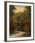 Autumn Forest 1-Jai Johnson-Framed Photographic Print