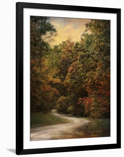 Autumn Forest 1-Jai Johnson-Framed Photographic Print