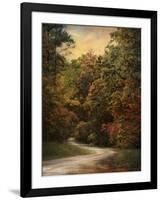 Autumn Forest 1-Jai Johnson-Framed Photographic Print