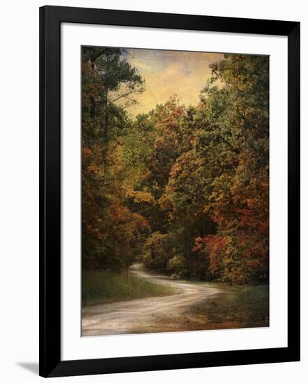 Autumn Forest 1-Jai Johnson-Framed Photographic Print