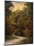 Autumn Forest 1-Jai Johnson-Mounted Photographic Print
