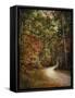 Autumn Forest 2-Jai Johnson-Framed Stretched Canvas