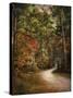 Autumn Forest 2-Jai Johnson-Stretched Canvas