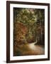 Autumn Forest 2-Jai Johnson-Framed Premium Photographic Print