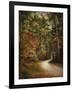 Autumn Forest 2-Jai Johnson-Framed Premium Photographic Print