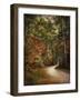 Autumn Forest 2-Jai Johnson-Framed Photographic Print