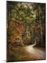 Autumn Forest 2-Jai Johnson-Mounted Photographic Print