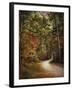 Autumn Forest 2-Jai Johnson-Framed Photographic Print