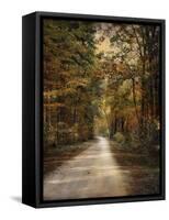 Autumn Forest 3-Jai Johnson-Framed Stretched Canvas