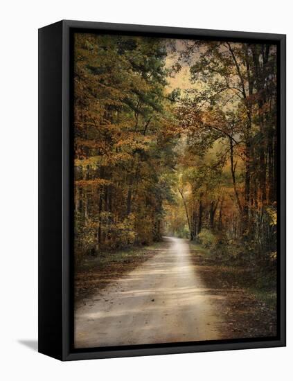 Autumn Forest 3-Jai Johnson-Framed Stretched Canvas