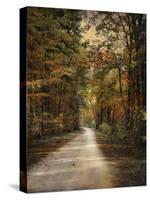 Autumn Forest 3-Jai Johnson-Stretched Canvas